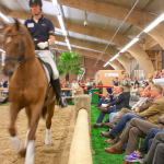 Sportfysiologie Paard cursus