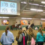 Cursusaanbod sportfysiologie paarden Moxie Sport