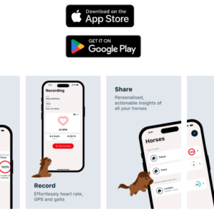 App abonnement EI-Potential (jaarlijks)