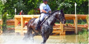 The horse should receive electrolyte supplementation when it sweated heavily after hard work in hot climate