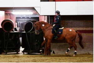 Sanne Voets and her horse in a heated indoor arena to prepare for the 2020 Tokyo Olympic Games