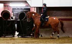 Sanne Voets and her horse in a heated indoor arena to prepare for the 2020 Tokyo Olympic Games