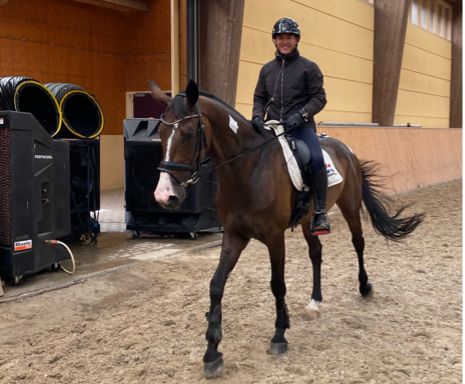 Horse and rider happy during the preparation for the Tokyo Olympic Games in a heated indoor arena