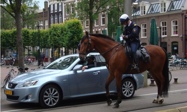 Police horse and police officer next to a car during a patrol through the city.