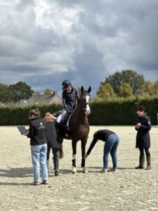 The team of equine Integration and Utrecht University is checking the IMU and heart rate sensors on a horse's sacrum and cannon bones for a study. The dressage horse and rider are waiting patiently for all sensors to be prepared and synchronised before training.