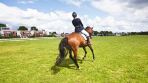 A rider is riding her warmblood dressage horse in canter on a grass field before a competition.