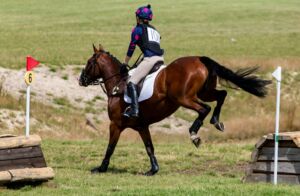 Eventing rider is jumping her brown eventing warmblood horse over a fence in a cross country course