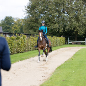 Standardized fitness test – Discipline specific