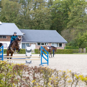 Training program for 3 months